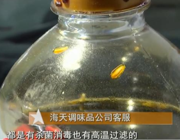 大酱生蛆图片