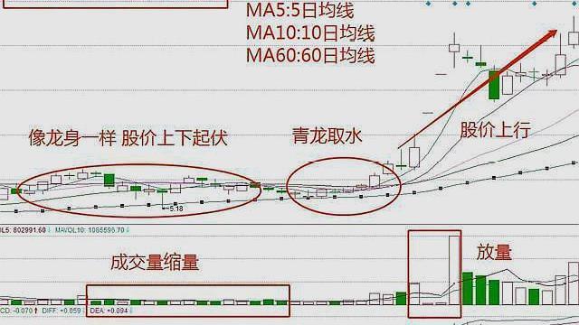 股票青龙取水形态图解图片