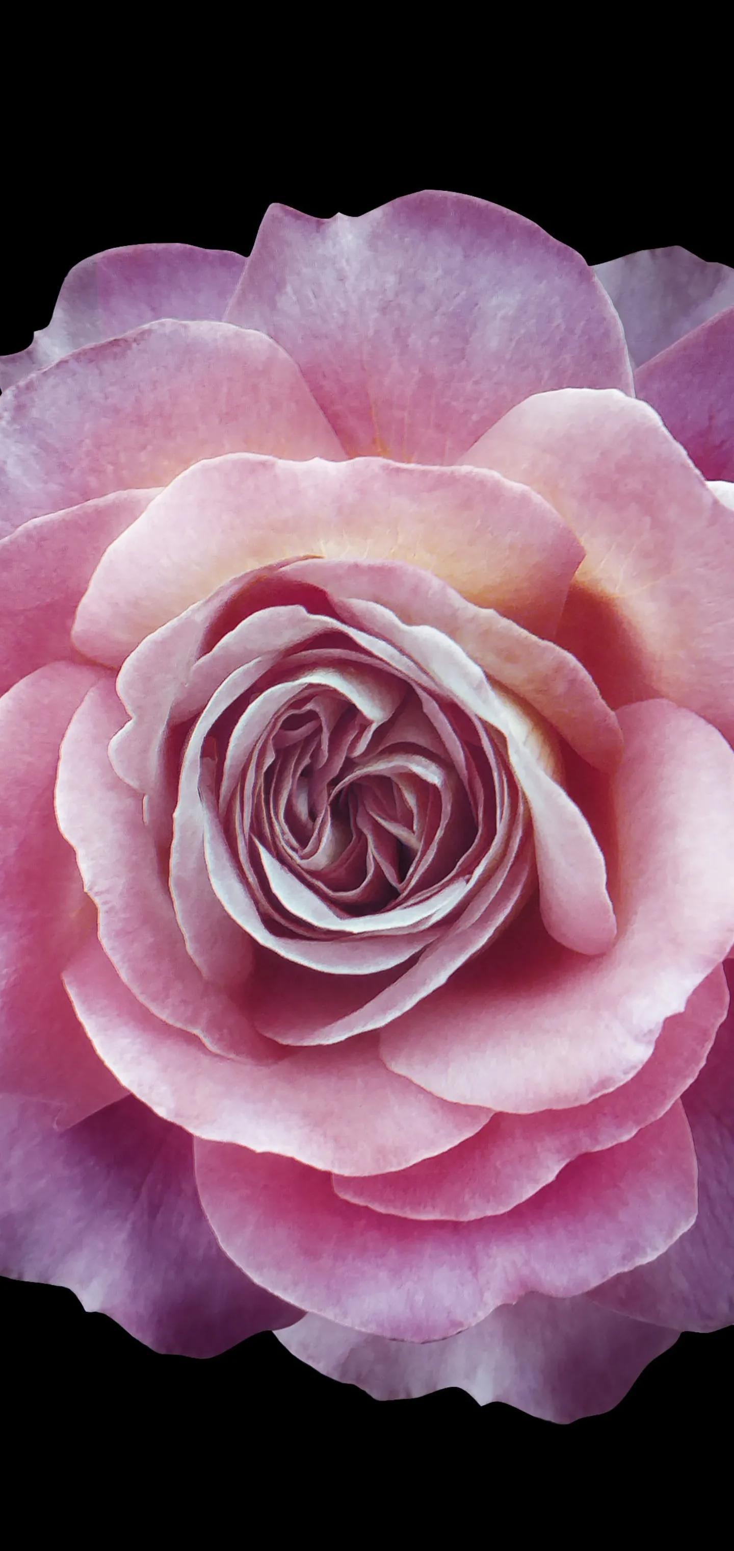 1440_3040竖版 竖屏