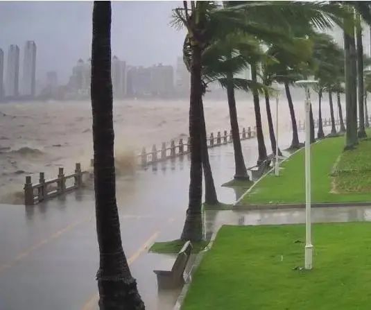 台风海高斯今早在珠海登陆 海浪风暴潮警报解除