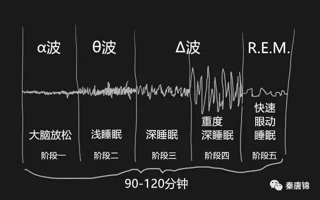 秦唐锦丝绸2020 琹唐锦黄金丝-帝锦 正式发布!