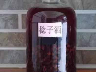 捻子酒的泡制方法?桃金娘酒两种发酵方法