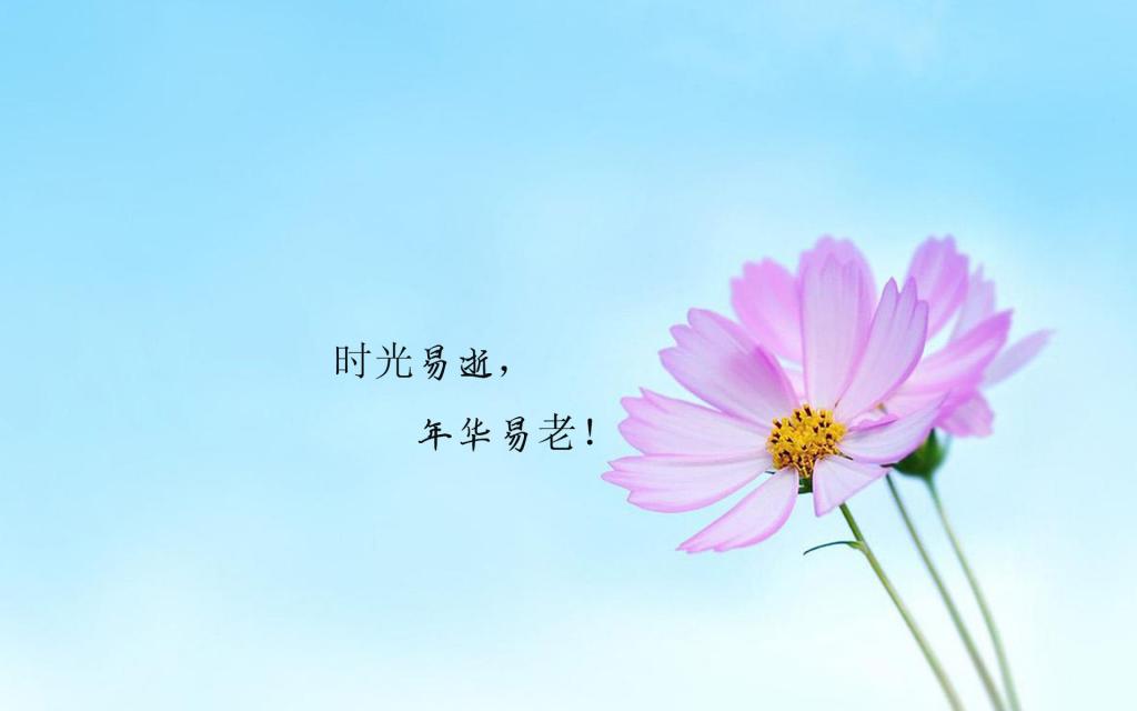 时光匆匆的唯美句子