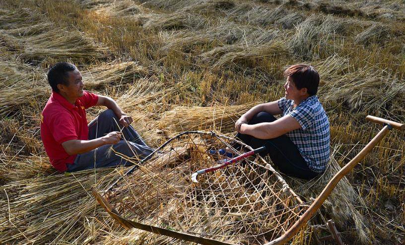山西有一种割麦子神器,名叫掠子,目前为何成为博物馆的怀旧文物