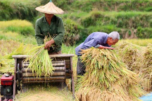 国家给农户发钱了,2021年6月起每户补贴500元,可这5类人除外