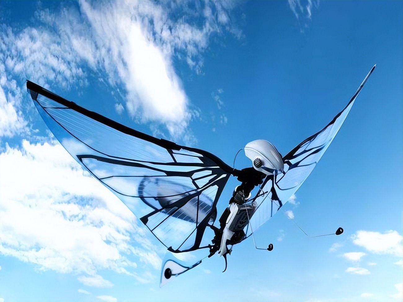 北航扑翼机续航时间破世界纪录刚一周,西工大仿鸟飞行器就给破了