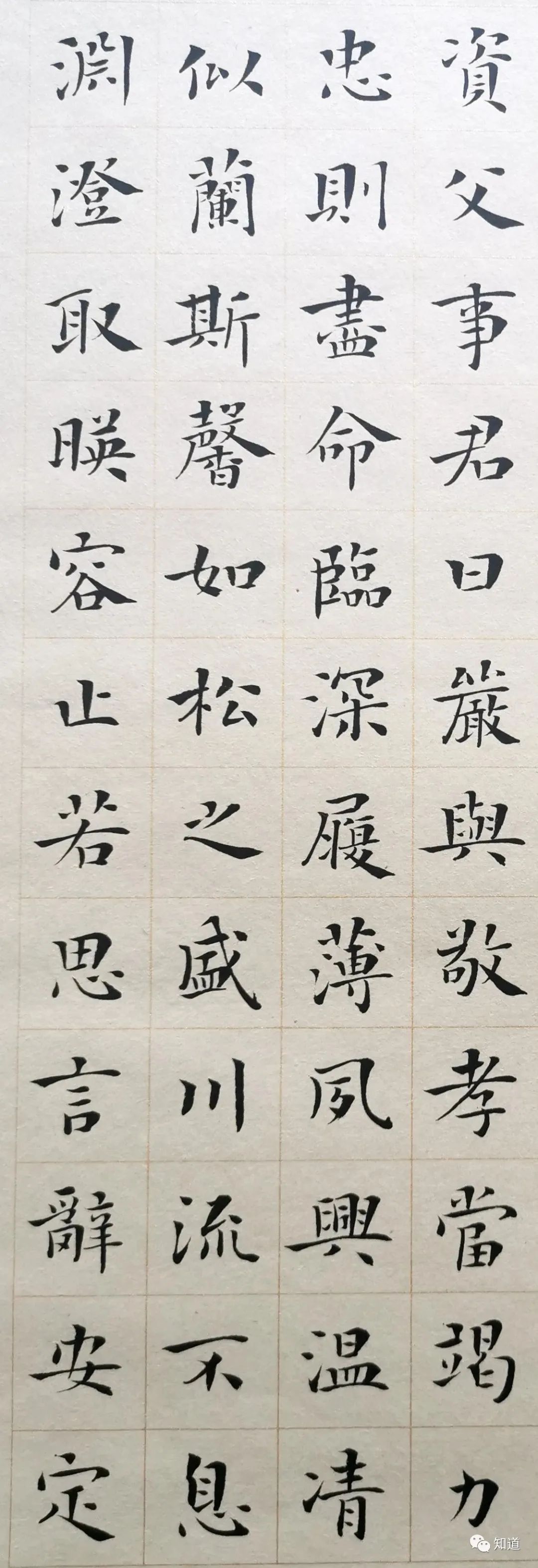 知道书画|王刚 小楷作品《千字文》上篇