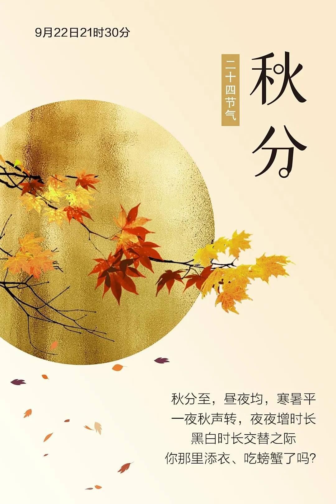 今日秋分,2020年只剩下100天