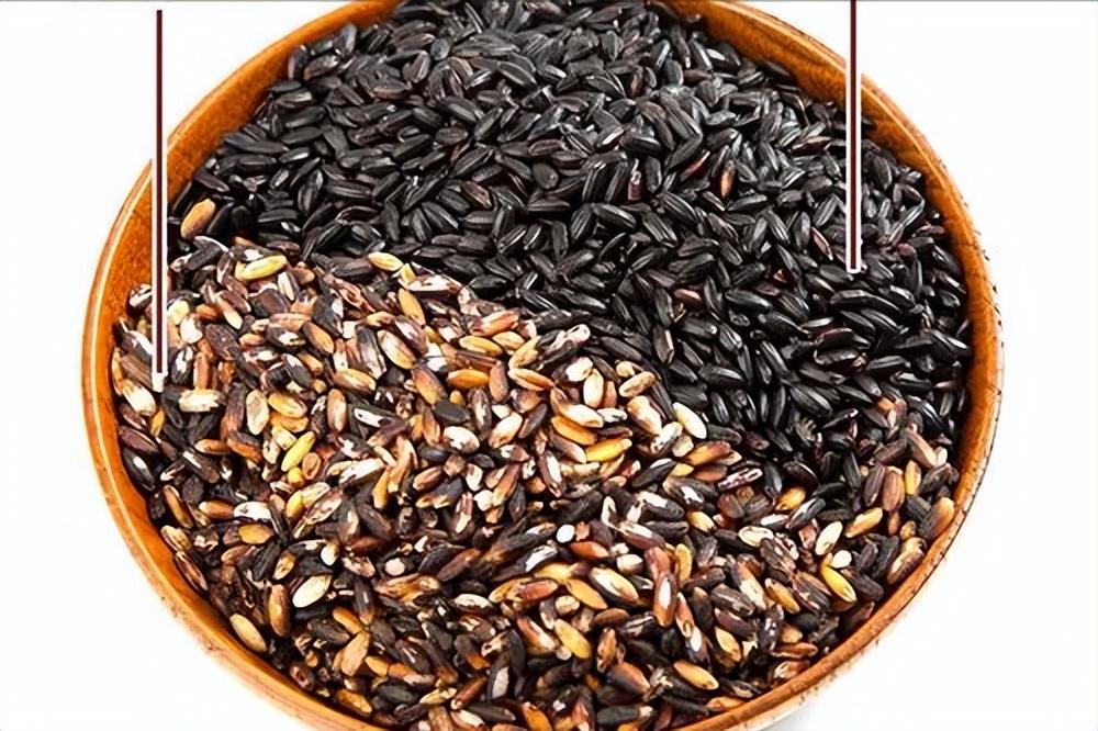 黑米和黑糯米,有何不同?哪个更适合你的口味?