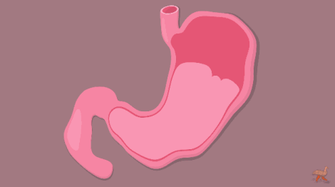 470_262gif 动态图 动图