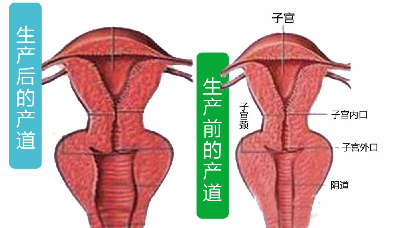 地球生物中