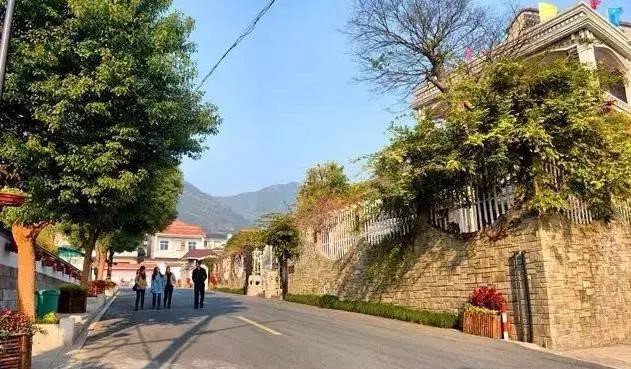 2020年中国美丽休闲乡村:绍兴市柯桥区漓渚镇棠棣村