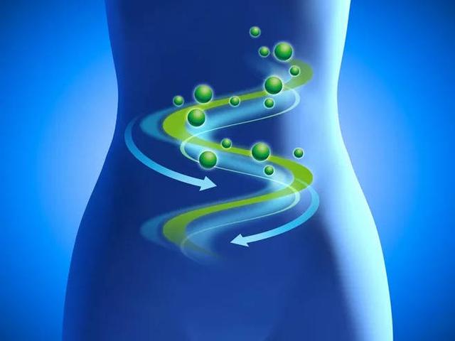 提高自身新陈代谢,不仅能加快减肥速率,还能增强免疫力