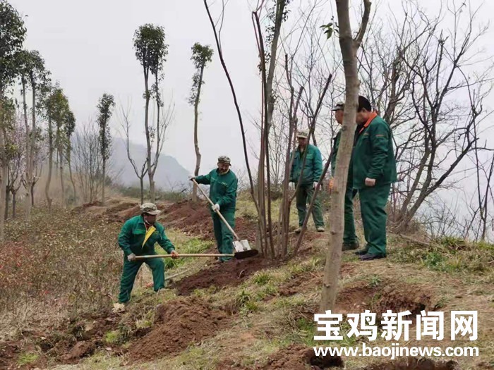 寶雞北坡森林公園:搶抓春季黃金時間 提升園區整體品質