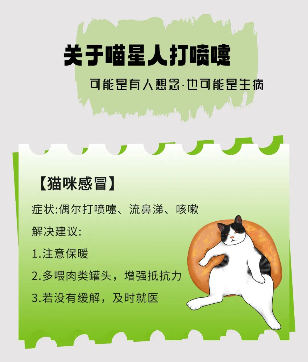 猫打喷嚏是怎么回事图片