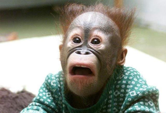 有一天,瞎子不慎撞到电线杆,为什么他连手也会疼?