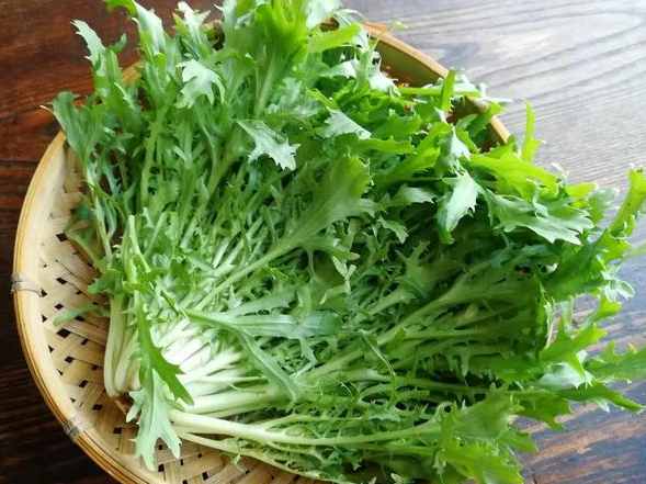 夏季吃苦,胜似进补,多吃这4种苦味蔬菜,健胃祛湿,轻松度夏