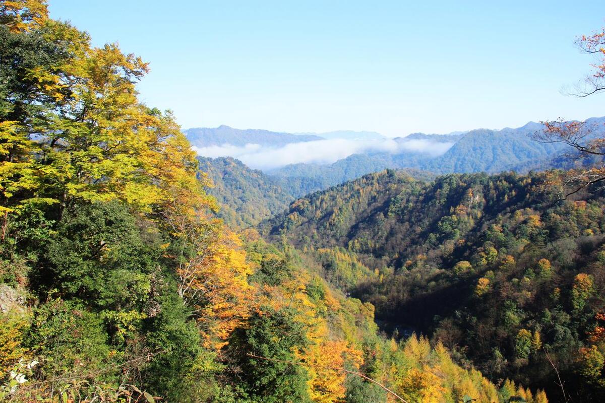 成巴高速沿途景点图片