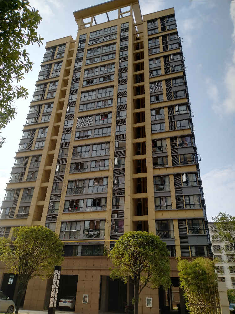 5年后,"电梯房"和"步梯房"谁更受欢迎?内行:答案很明显