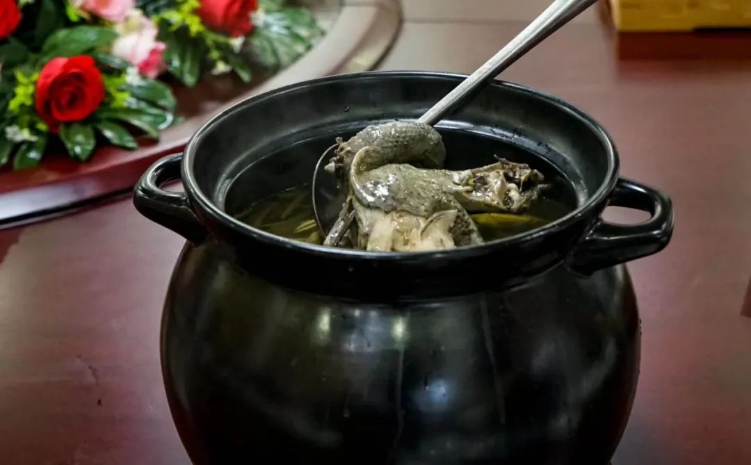 「兴文石海,僰王山」超有特色的美食"乌鸡莼菜汤,一定要尝尝