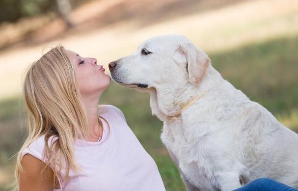 养狗久了才明白,狗狗"鼻吻"主人,是在给你信号
