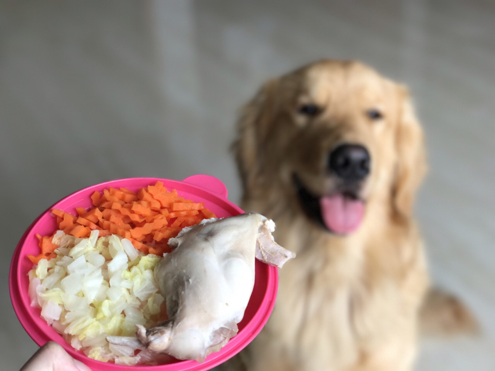 让狗狗越吃越美的7种食物,不要错过狗狗的"美丽大变身"