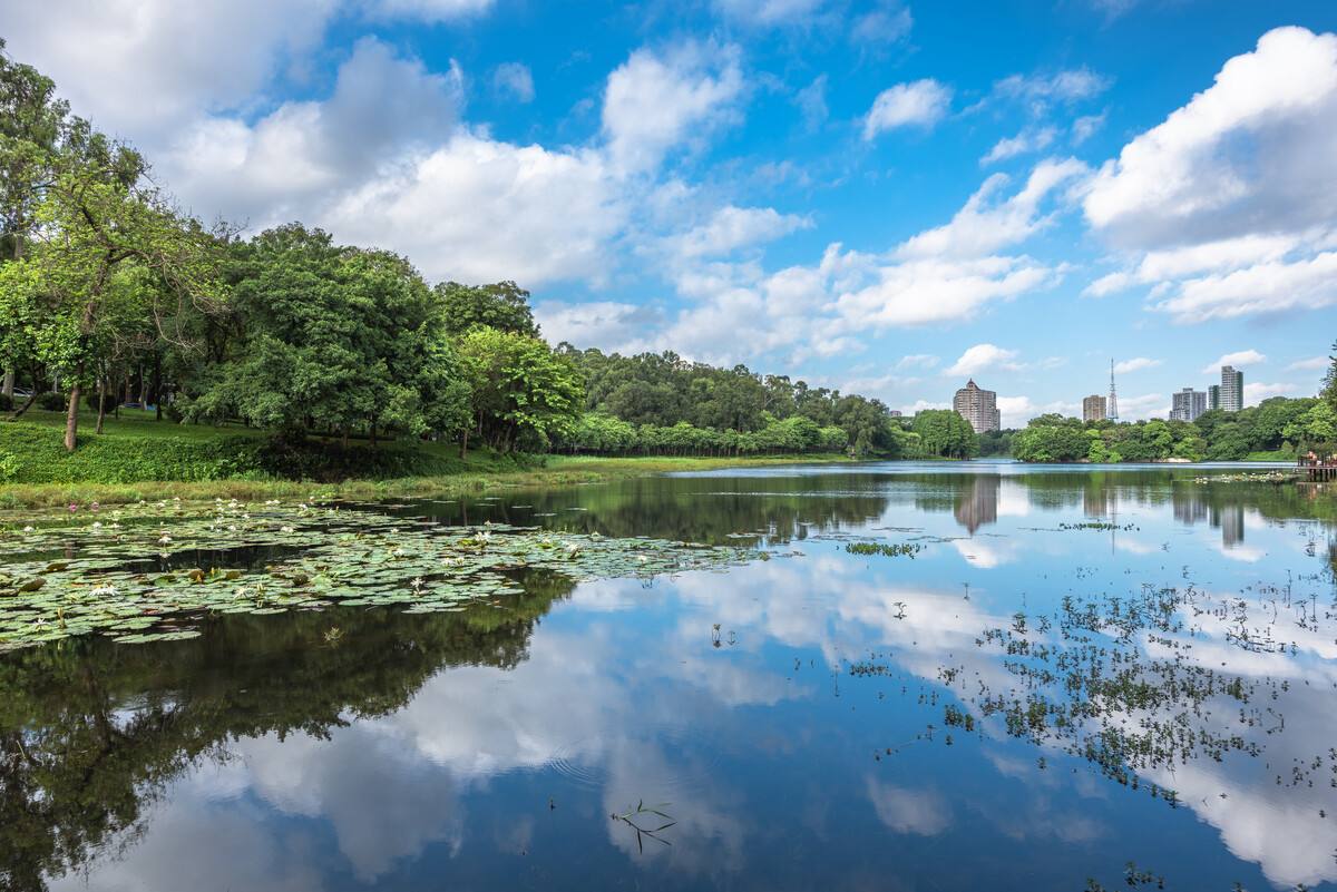 广州夏天哪里好玩的景点?