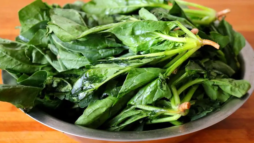 "易瘦"蔬菜排行榜,黄瓜未上榜,西红柿排第4,个个低脂低热量