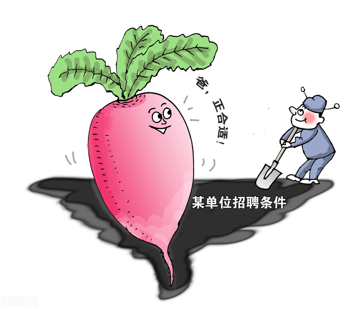 学院招聘被疑萝卜岗 baijiahao.baidu.com