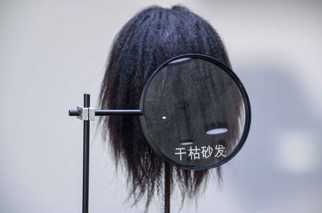 模拟四大头发问题，头发油腻扁塌、染发后头发褪色、断发式脱发以及干枯砂发