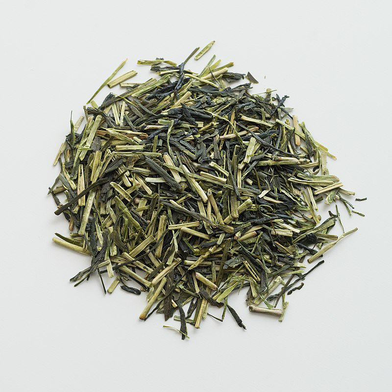 「茶道英语」茶树的生理结构anatomy of a tea plant