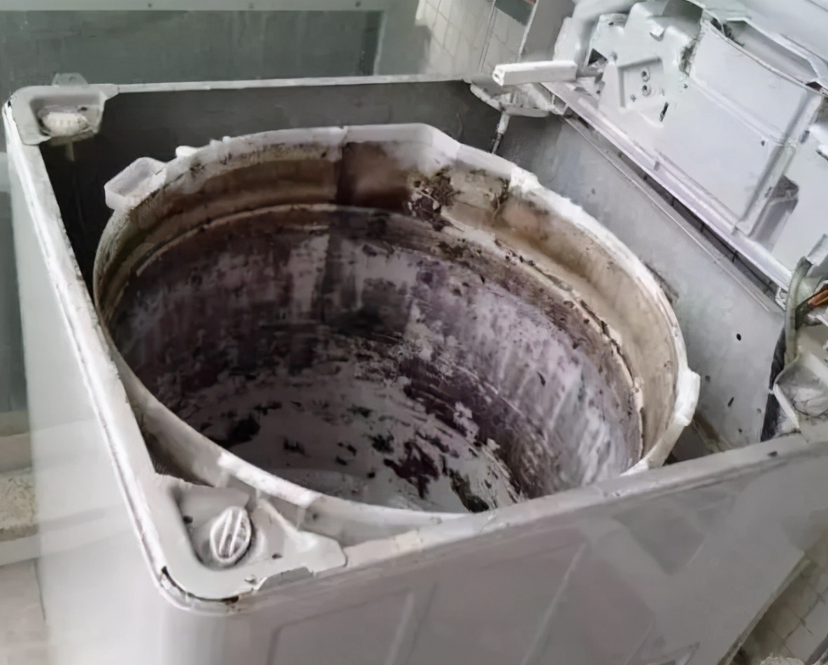 洗衣机发霉了怎么处理?学会这招让旧洗衣机变崭新!