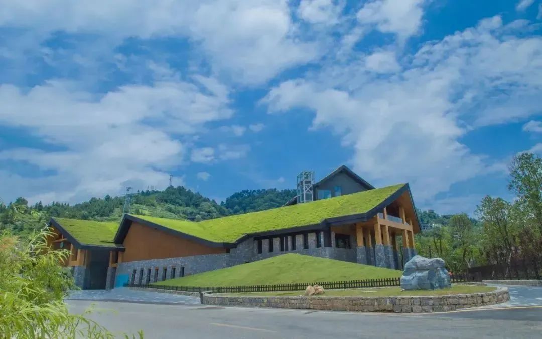 民宿|新年伊始,用一场民宿度假之旅治愈寒冷的冬天