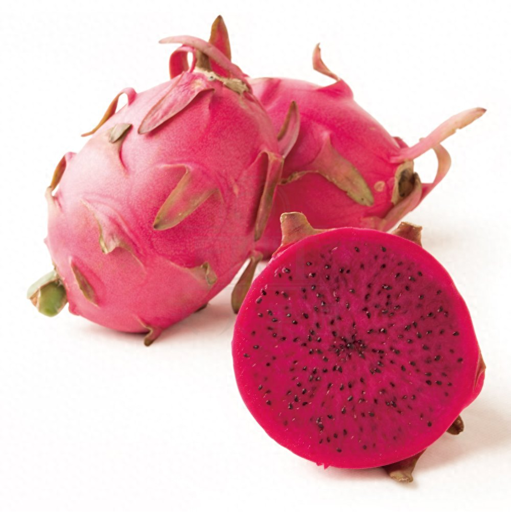 温室火龙果产期调控技术:推动高效生产与市场供应的突破