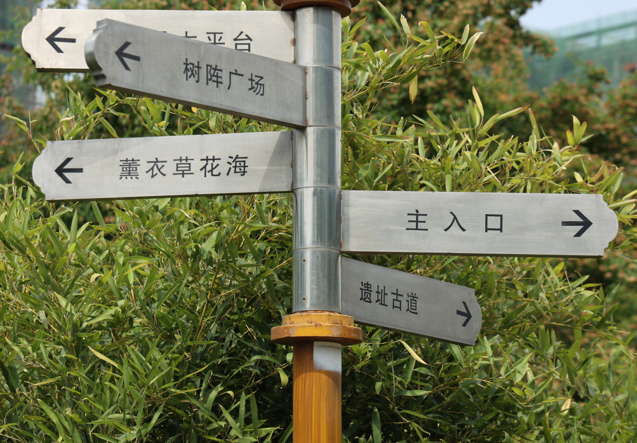 新寺遗址公园夏花浪漫