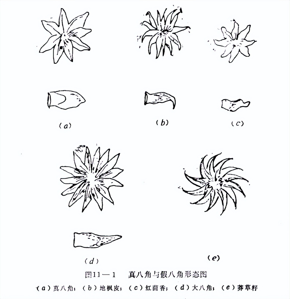 買八角,分清