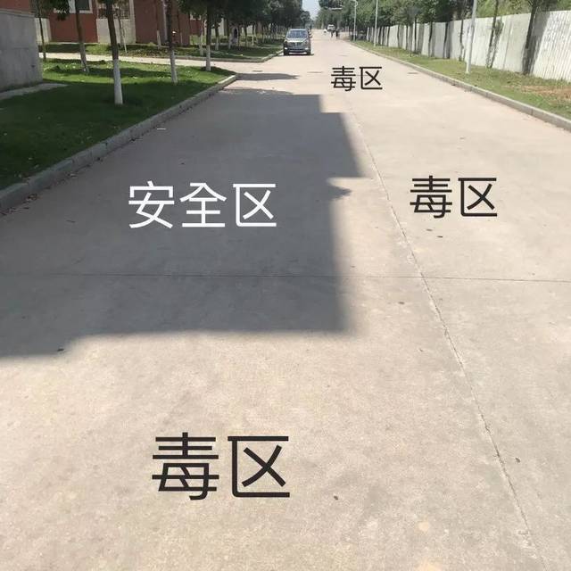 夏天令人烦恼的不止天气,还有螨虫!衣物杀菌除螨还得靠它