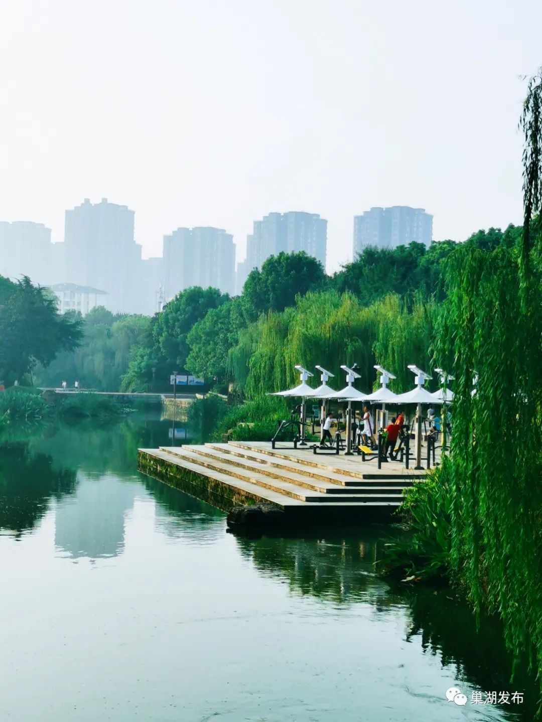 洗耳池公园荷花开了