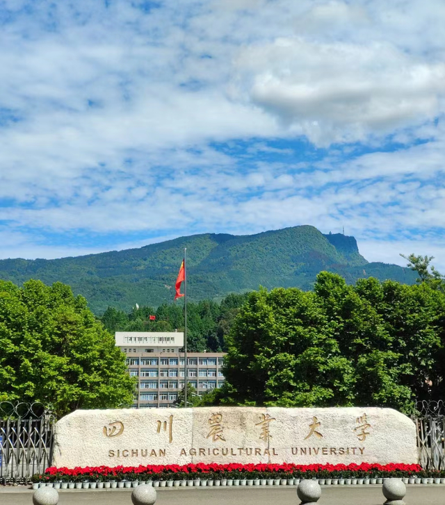 四川农业大学表白墙图片