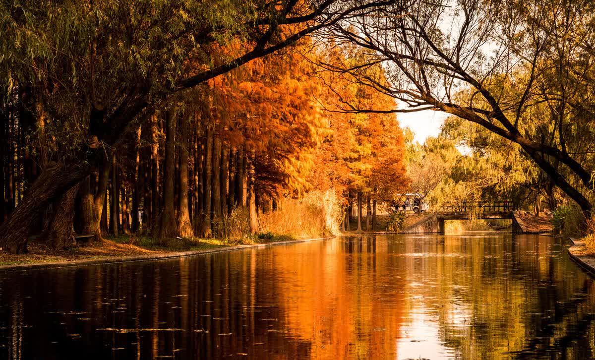 上海秋季这八处像是油画一样美丽,描绘出上海秋天的风情万种