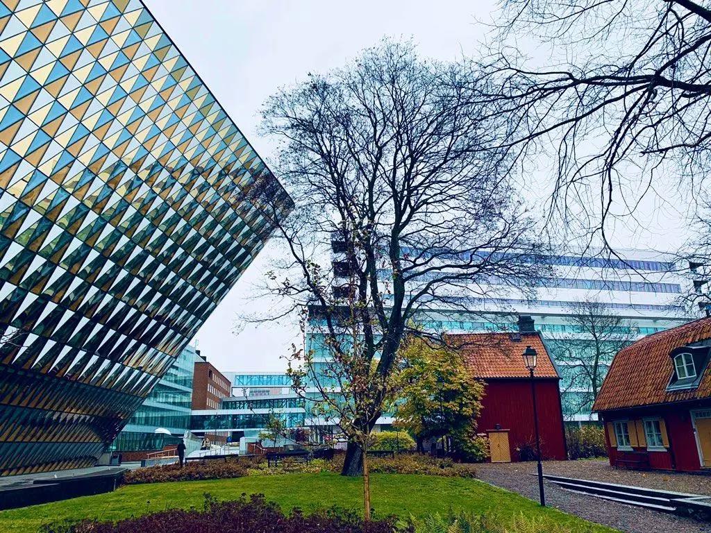 走进世界医学名校——卡罗琳斯卡医学院