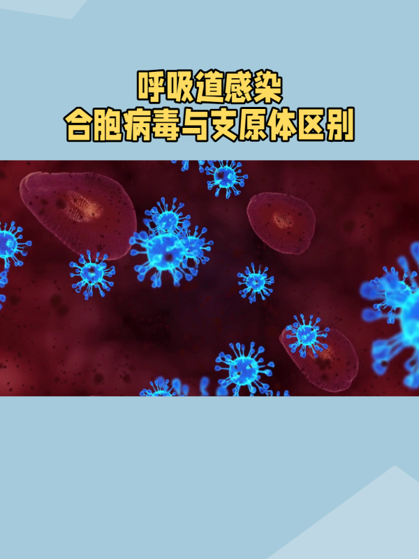 呼吸道合胞病毒与肺炎支原体异同