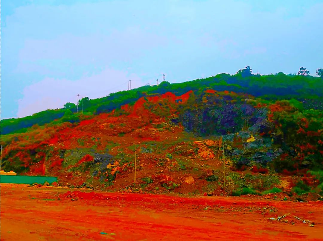 浙江龙港琵琶山惨遭破坏 非法盗采严重