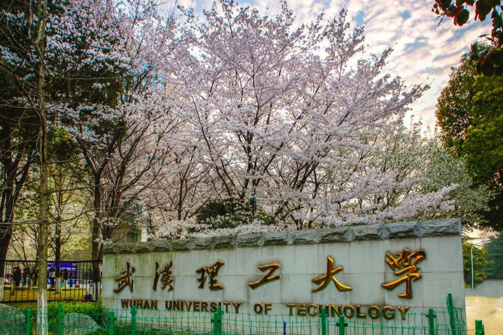 武汉理工大学机械学院图片