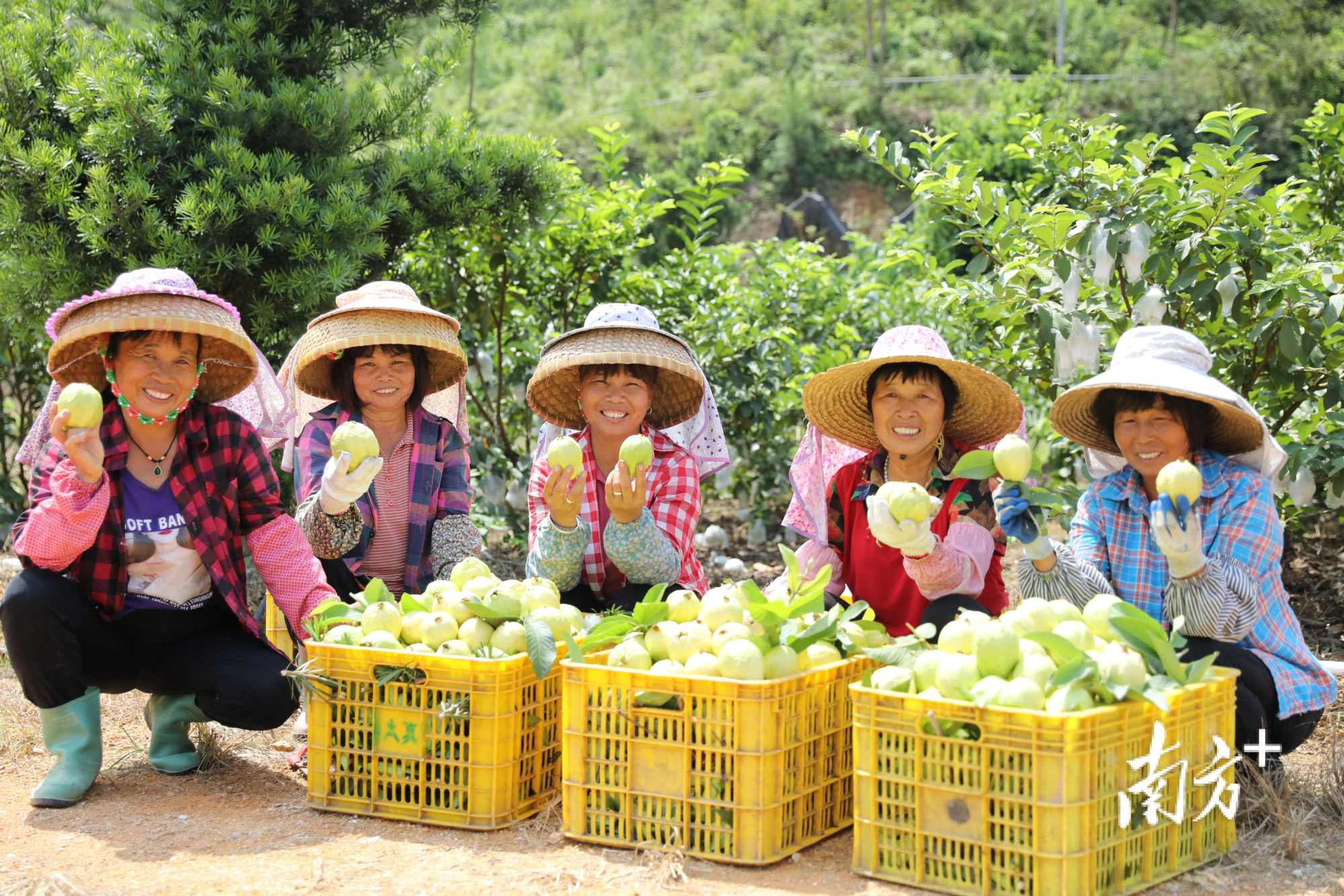 湛江:持续提升群众获得感幸福感安全感