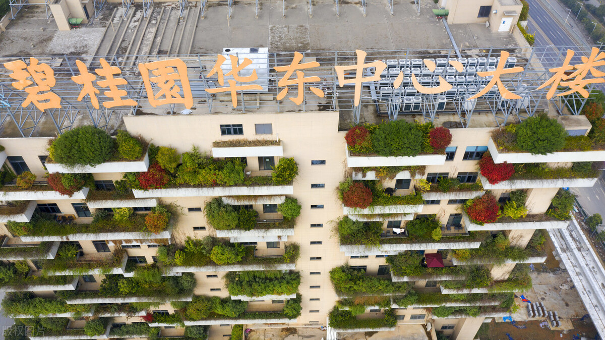江苏句容市碧桂园华东中心大楼外围种植的大量的绿色植物色彩斑斓