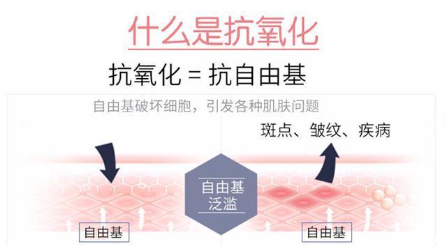 什么?吃吃吃还能抗氧化?是真的吗?
