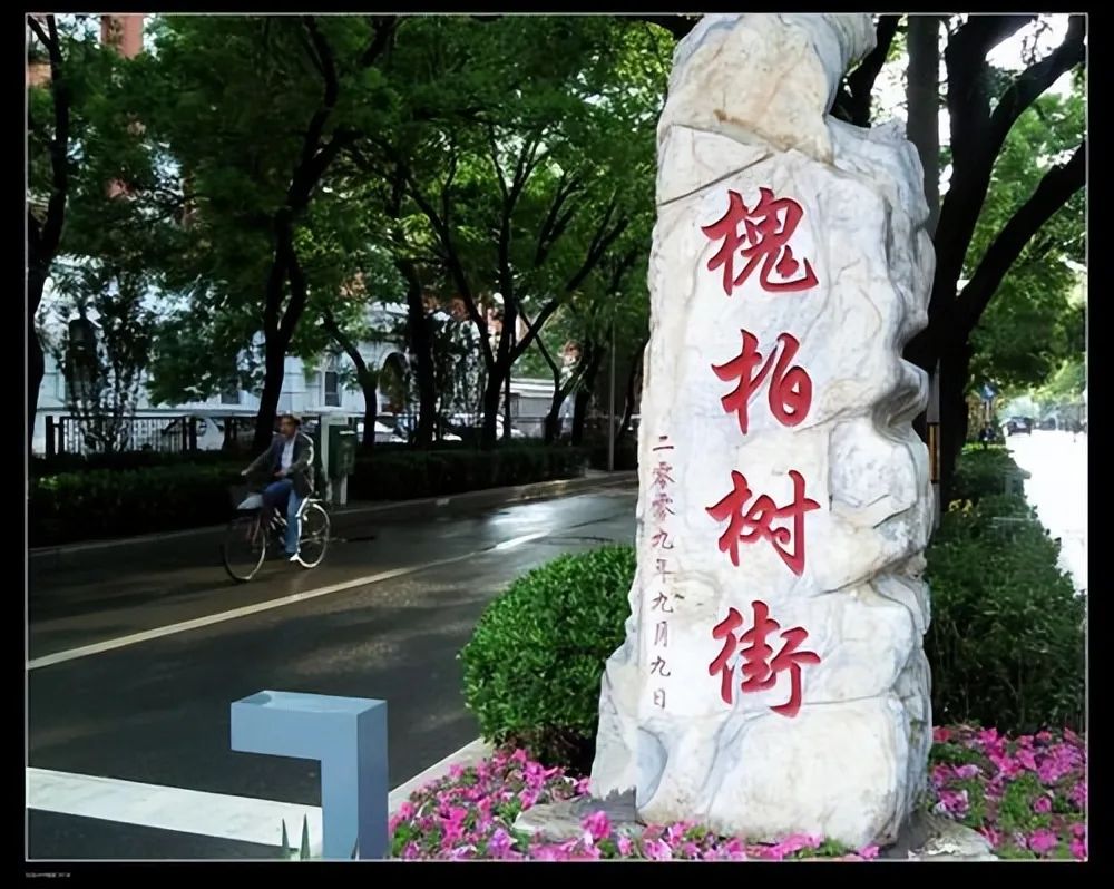 北京有条槐柏树街