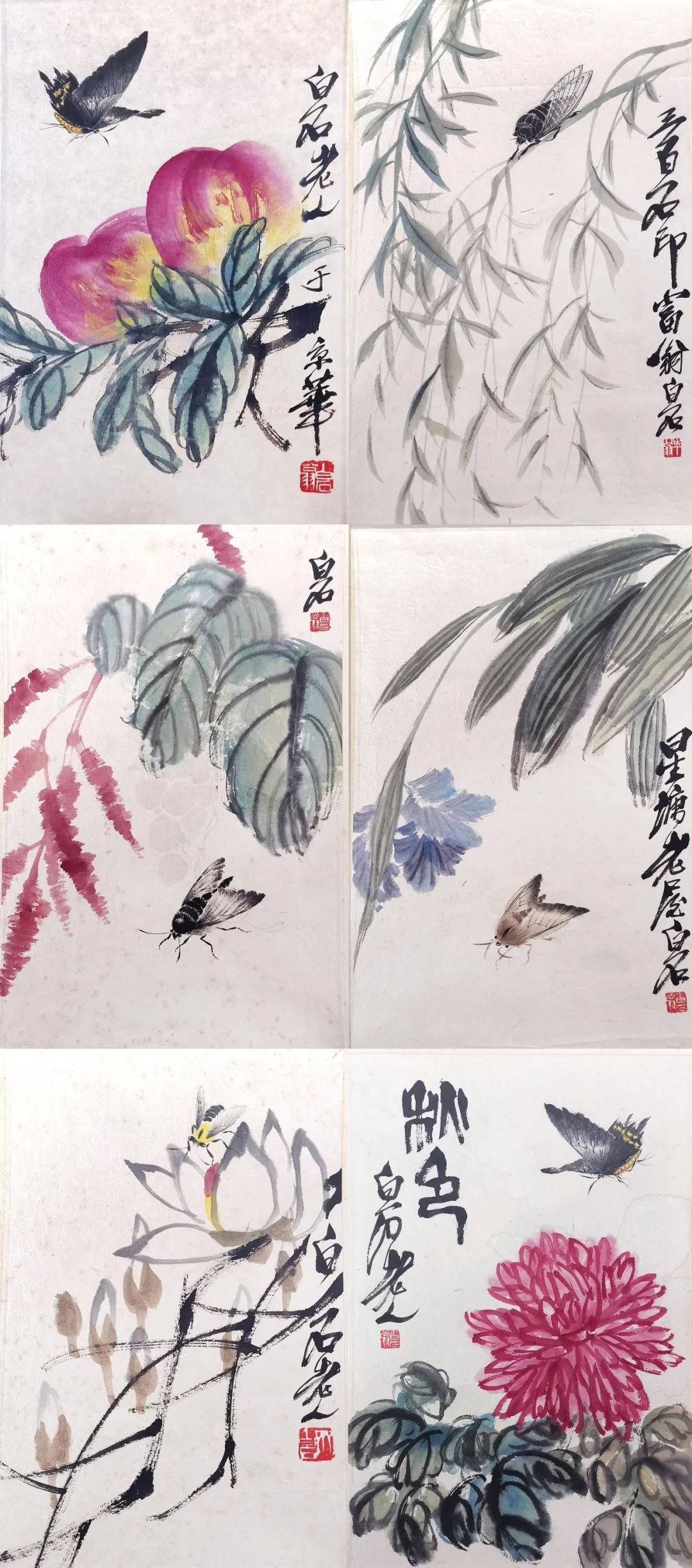 细数珍藏 丨齐白石《花卉工虫》册页