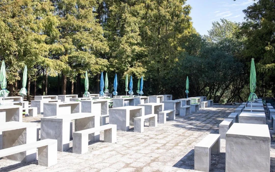 上海滨江森林公园烧烤区扩建完成,正式开放啦!